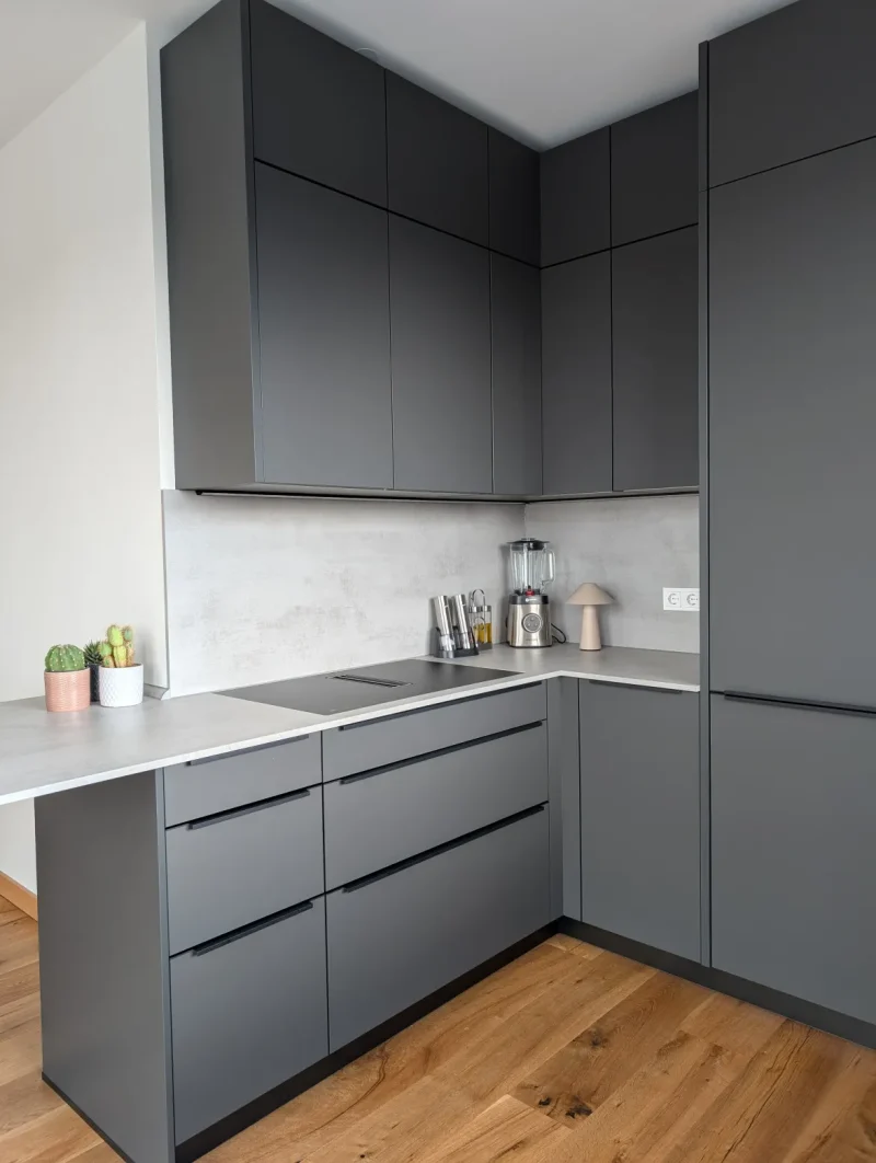 Detailbild der Referenzküche mit Blick auf das Kochfeld mit integriertem Abzug